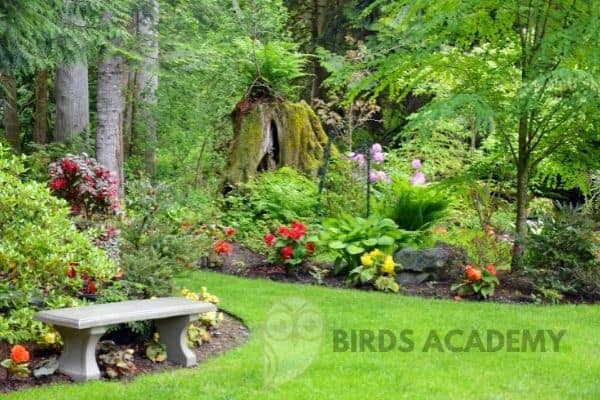 colorful garden to attract yellow finches
