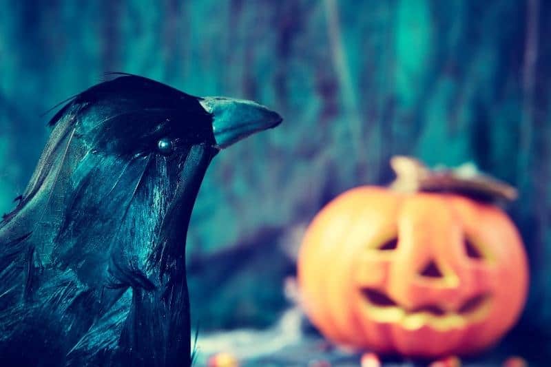 halloween decorations to scare crows
