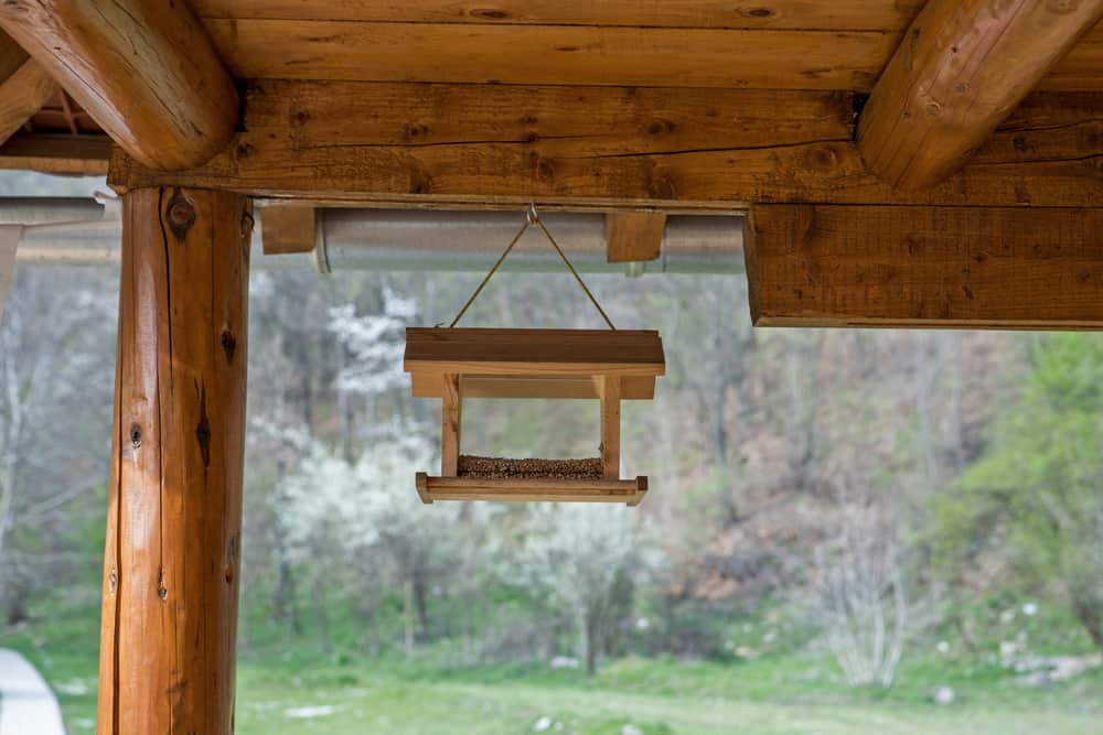use ceiling hooks to hang birds feeders without a tree