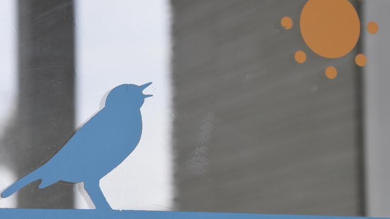 use anti-collision stickers to attract birds to your balcony 